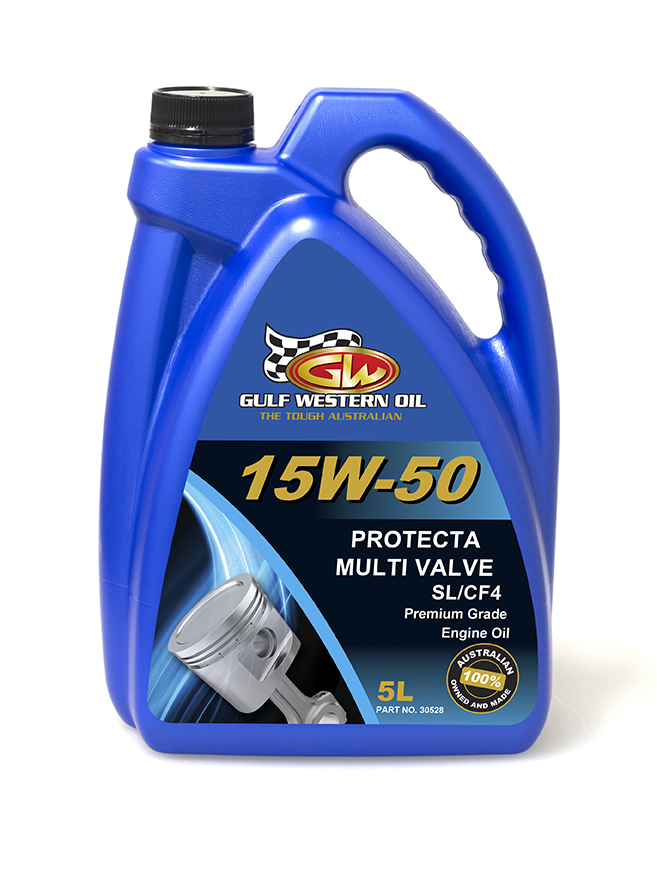 PROTECTOR MULTI VALVE